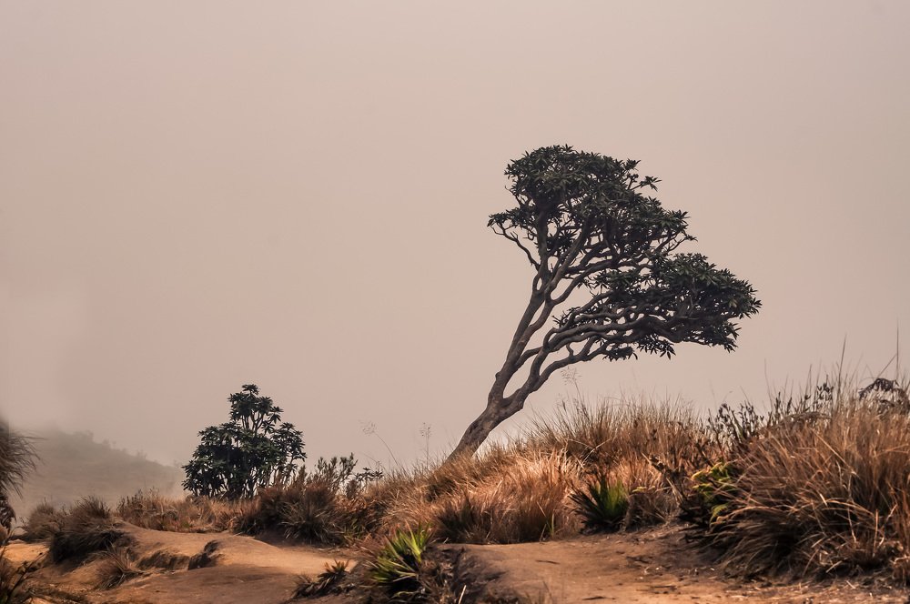 Photograph by Amith Anuradha