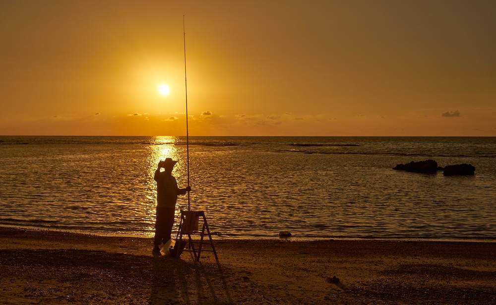 Photograph by David Solodar