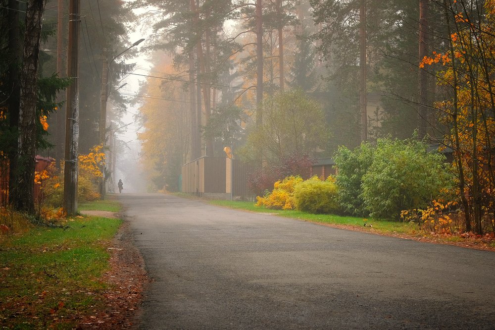 Photograph by Ирина Худзинская