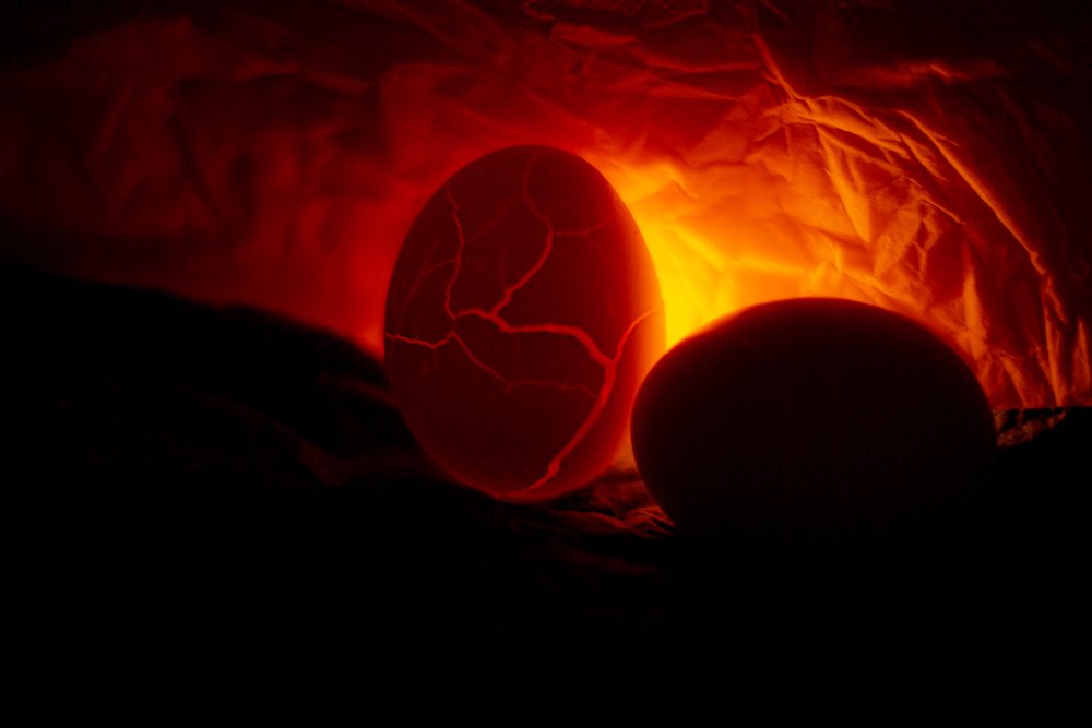 Photograph by Олеся Жигалова