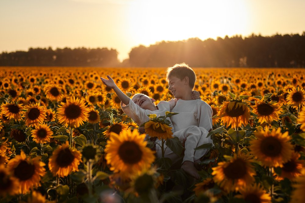 В подсолнухах