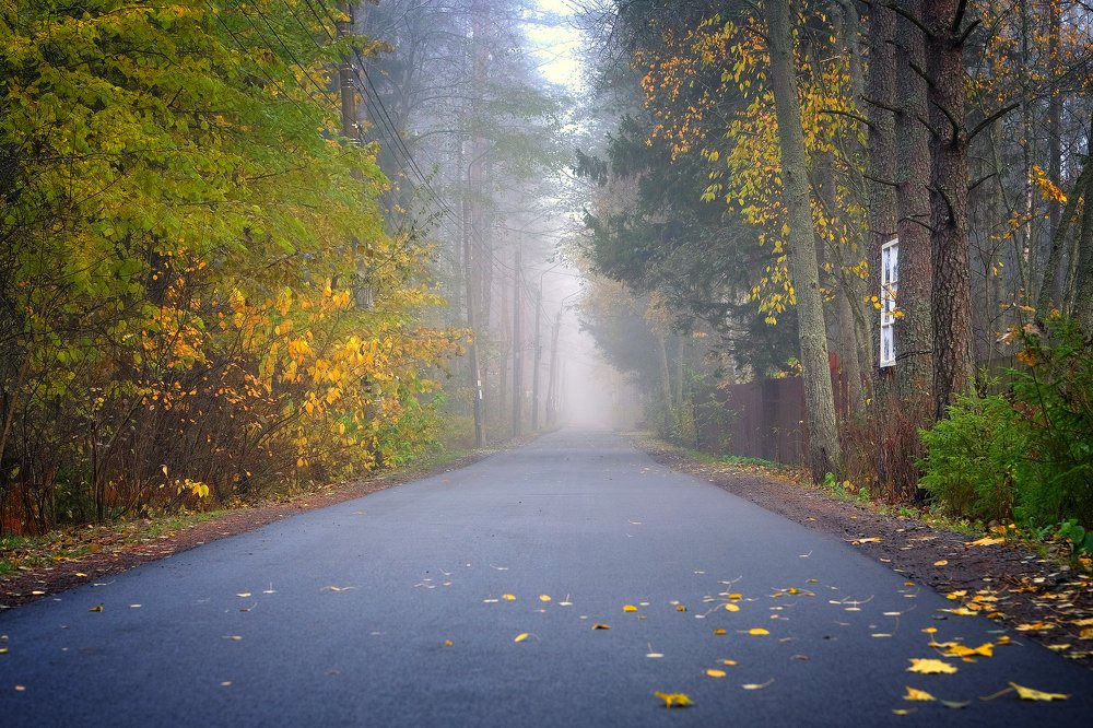 Photograph by Ирина Худзинская