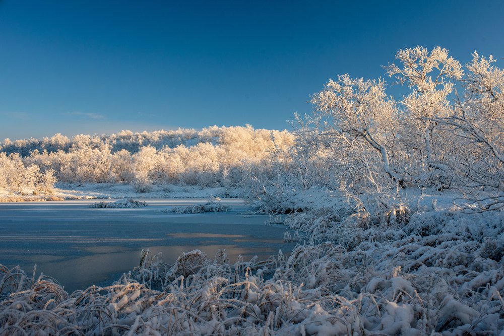 Зимний иней