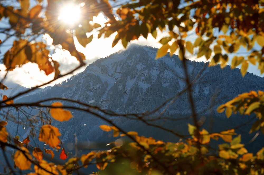 Photograph by Денис Черепко