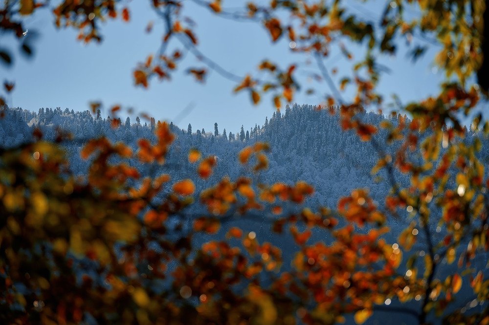 Photograph by Денис Черепко