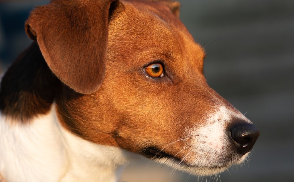 Photograph by Vitali Mikhailiuk