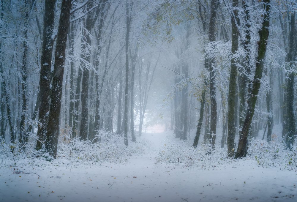 Photograph by Александр Орнатский