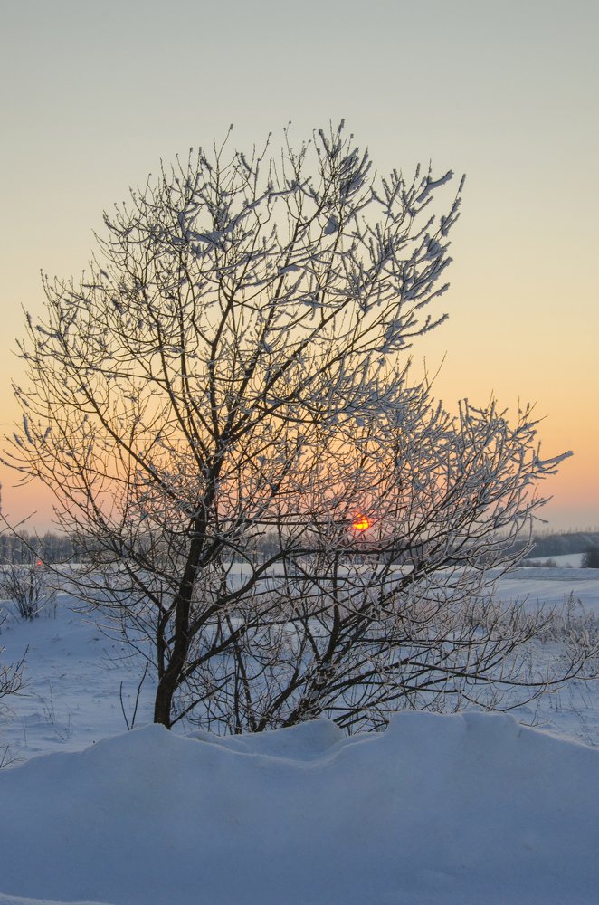 Photograph by Павел Абакумов