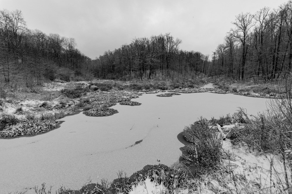 Фотография автора Александр Кременицкий
