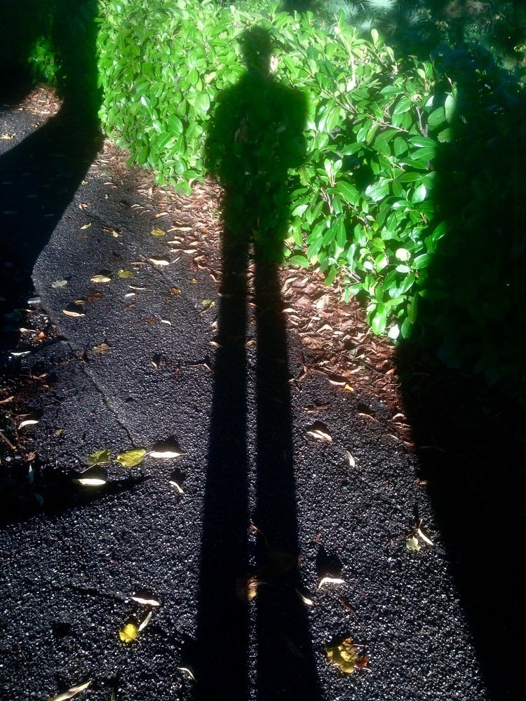 Photograph by Riccardo Moretti