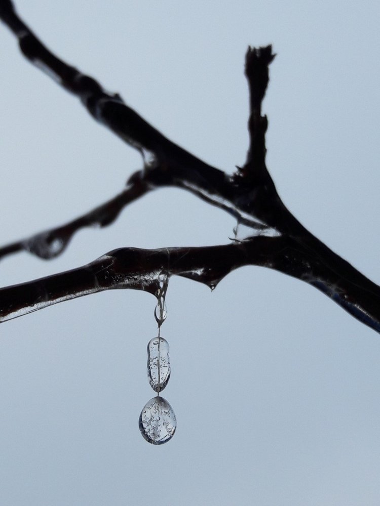 Сокровище ноября.