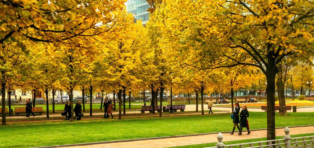 Фотография автора Дмитрий Климов