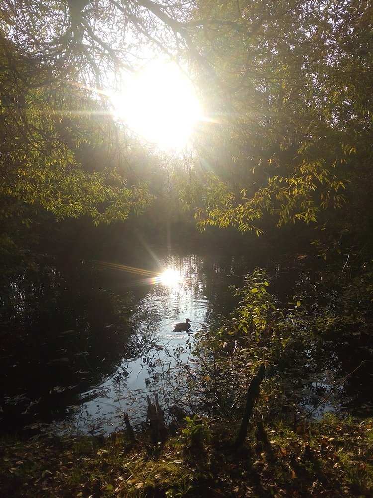 Photograph by Арина Сурсякова