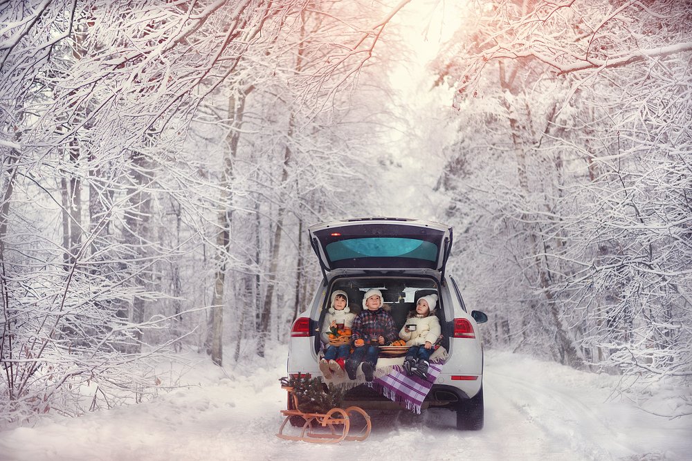 Photograph by Татьяна Гладышева