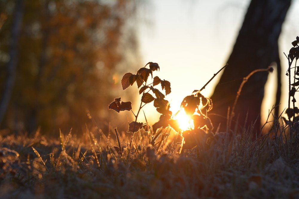 Photograph by Daniil Rubanovich