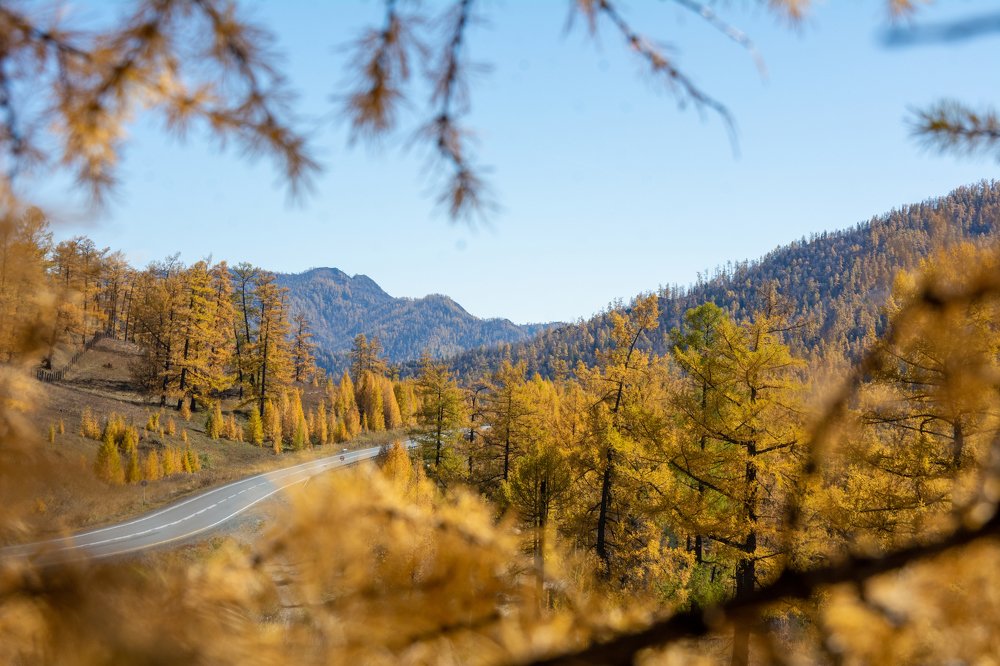 Photograph by Daniil Rubanovich