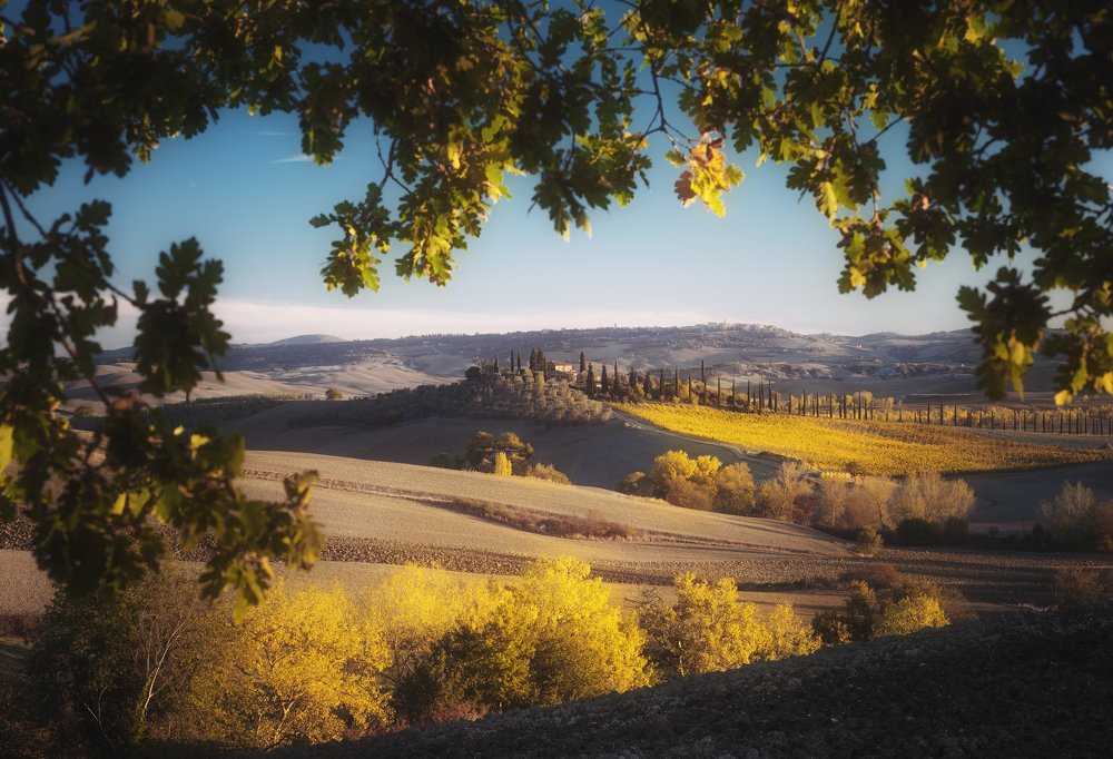 Photograph by Антон Ростовский