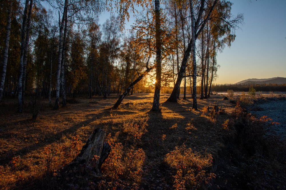 Photograph by Daniil Rubanovich