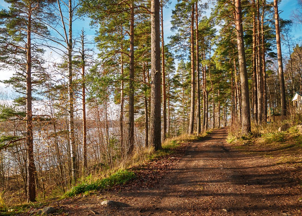 Photograph by Анастасия Стародубцева