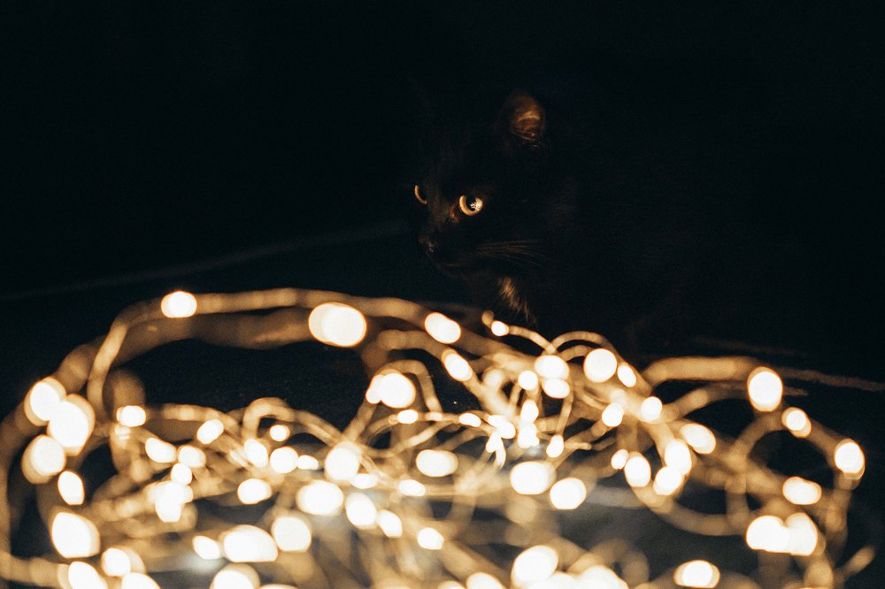 Photograph by Ирина Подать