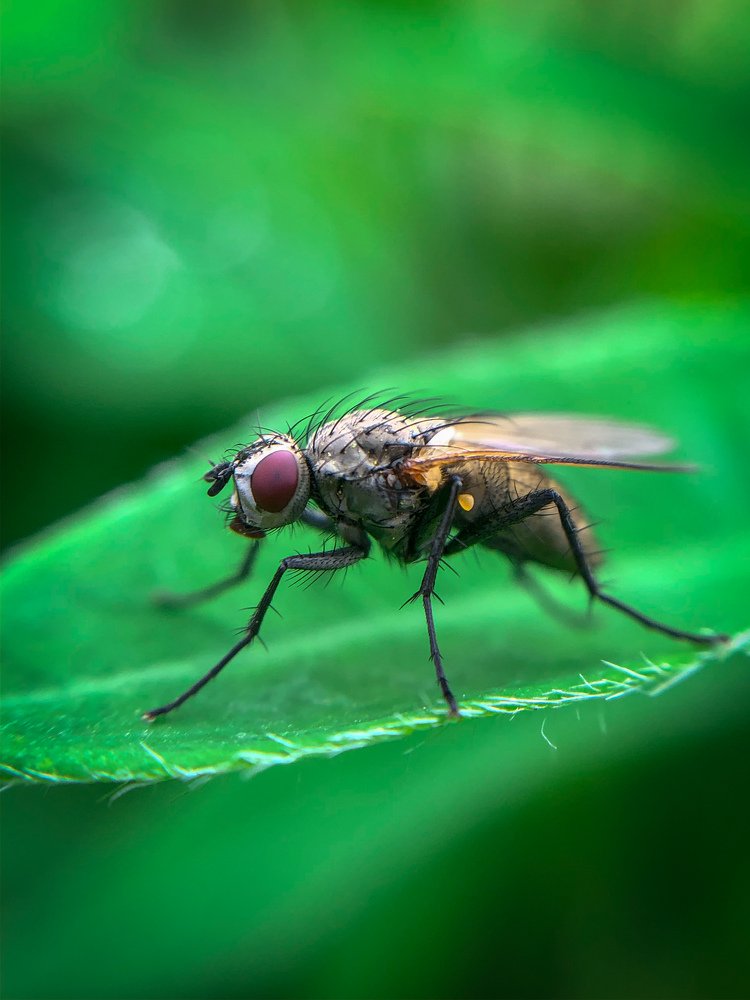 Перед взлетом