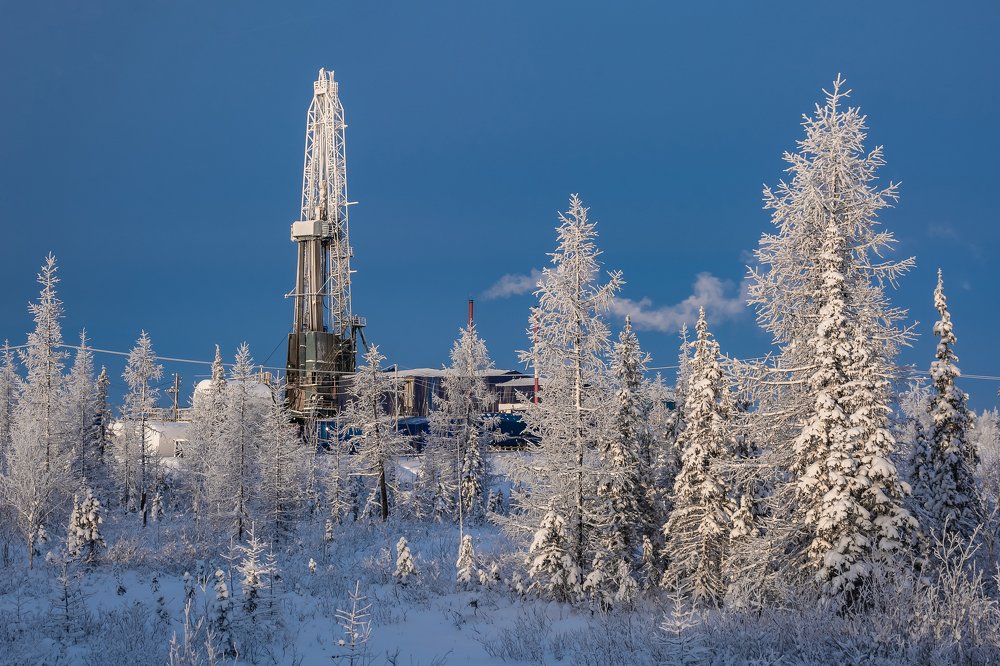 Фотография автора Ендовицкий Владимир
