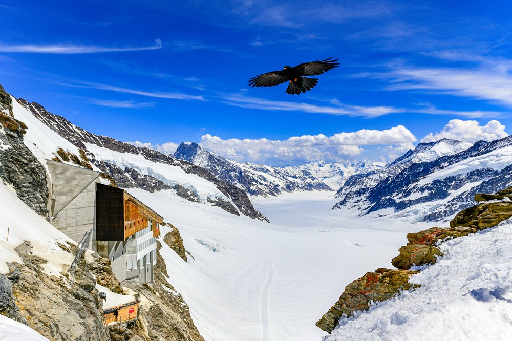 Фотография автора rohan sule