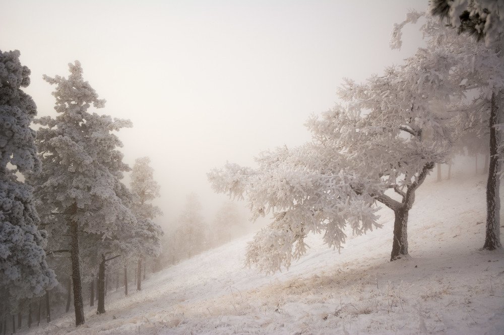 Photograph by Анастасия Попельская