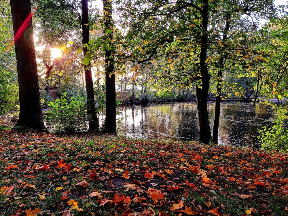 Photograph by Александр Пинаев