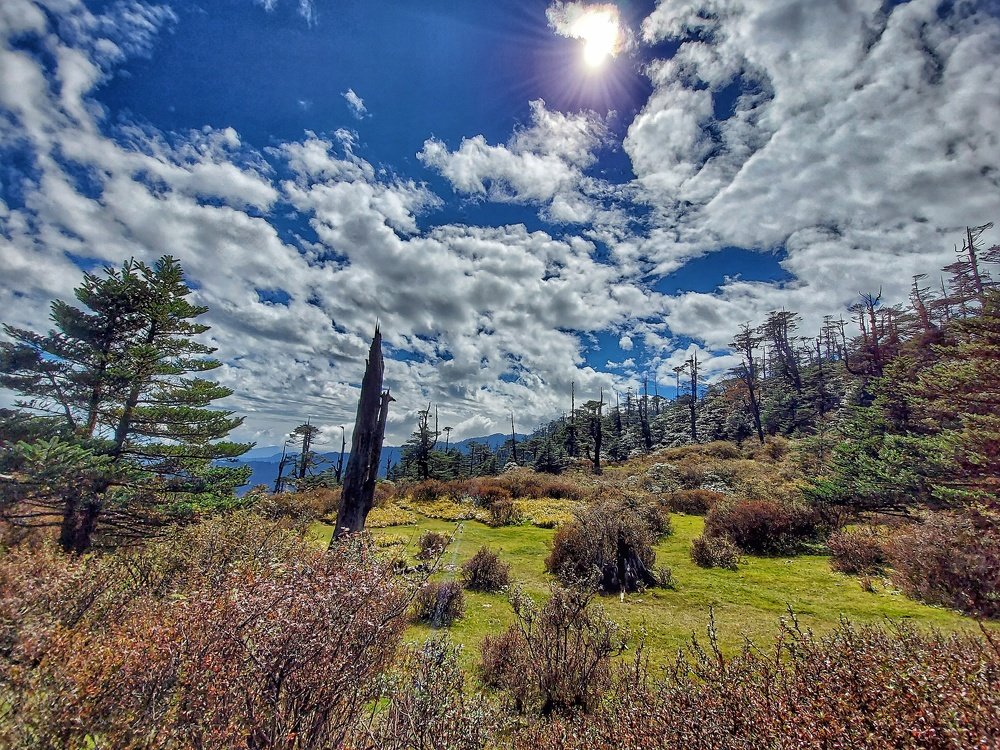 Photo #5318036