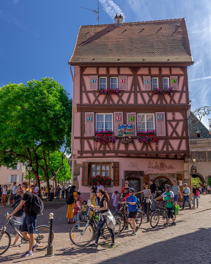 Фотография автора rohan sule