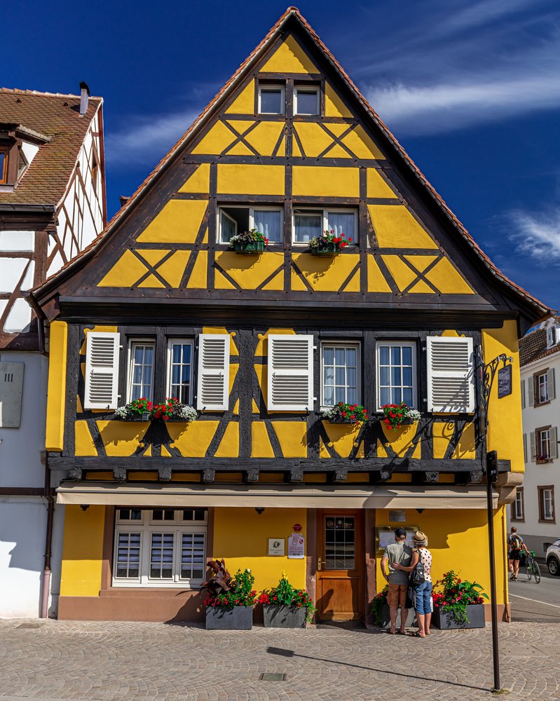 Фотография автора rohan sule