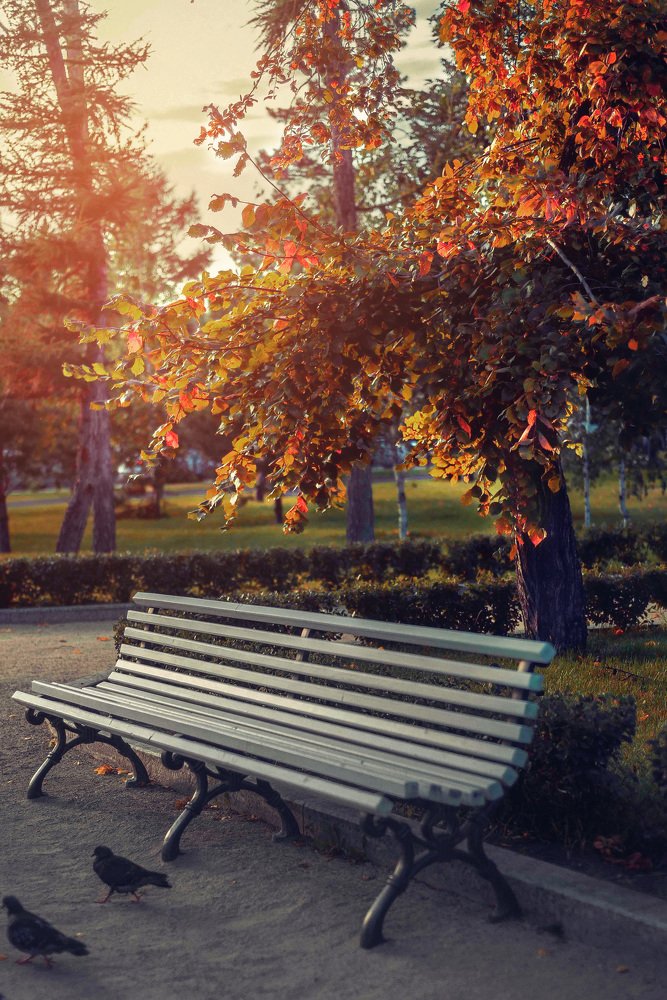 Фотография автора Вячеслав Владимирович