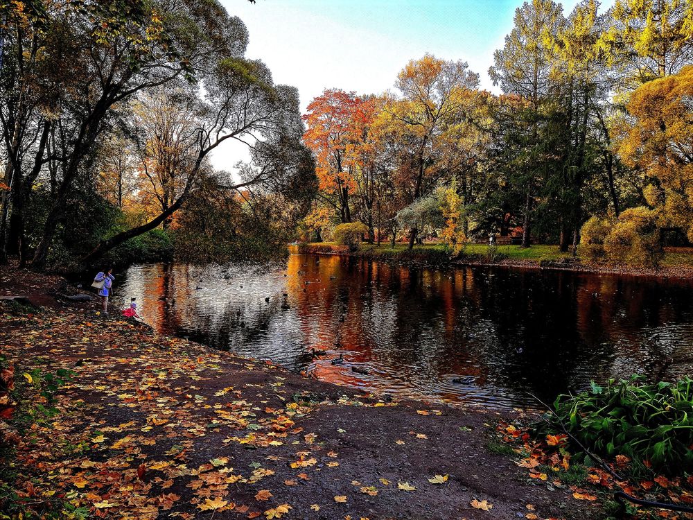 Photograph by Александр Пинаев