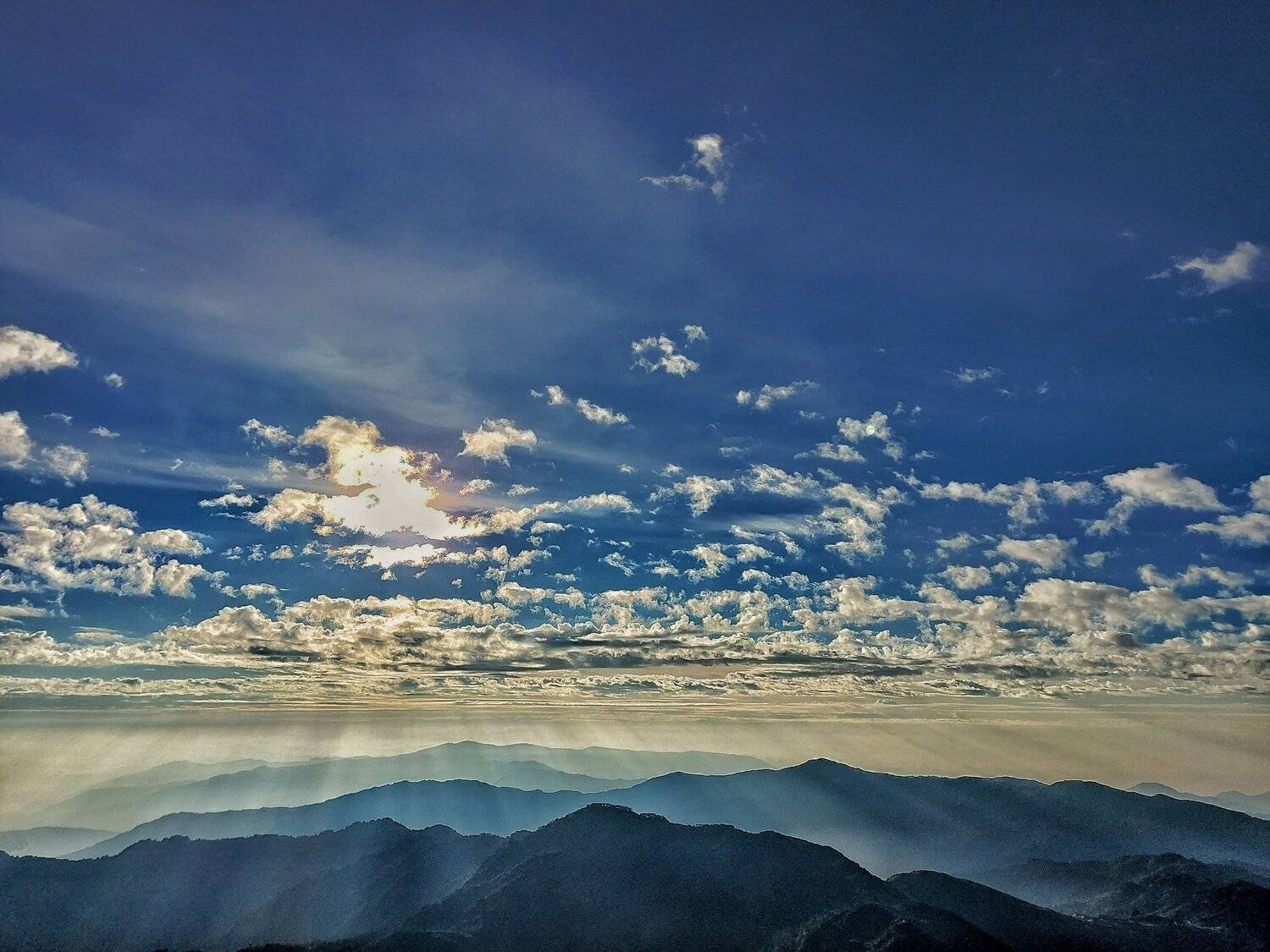 Photo #5318110