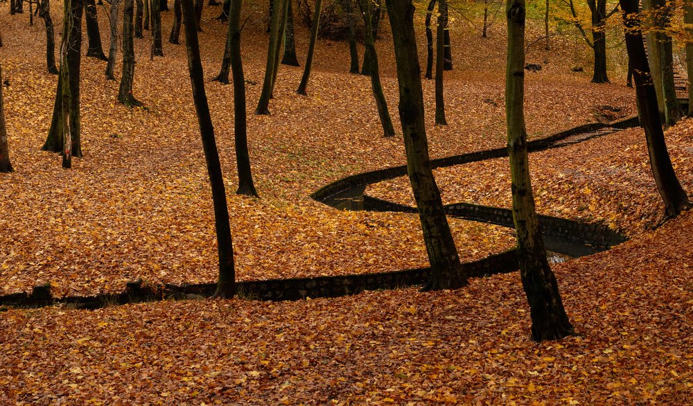 Photograph by Павел Юнусов