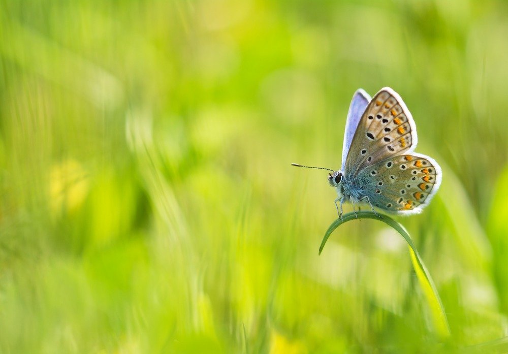 Photograph by Mohammed Oussama