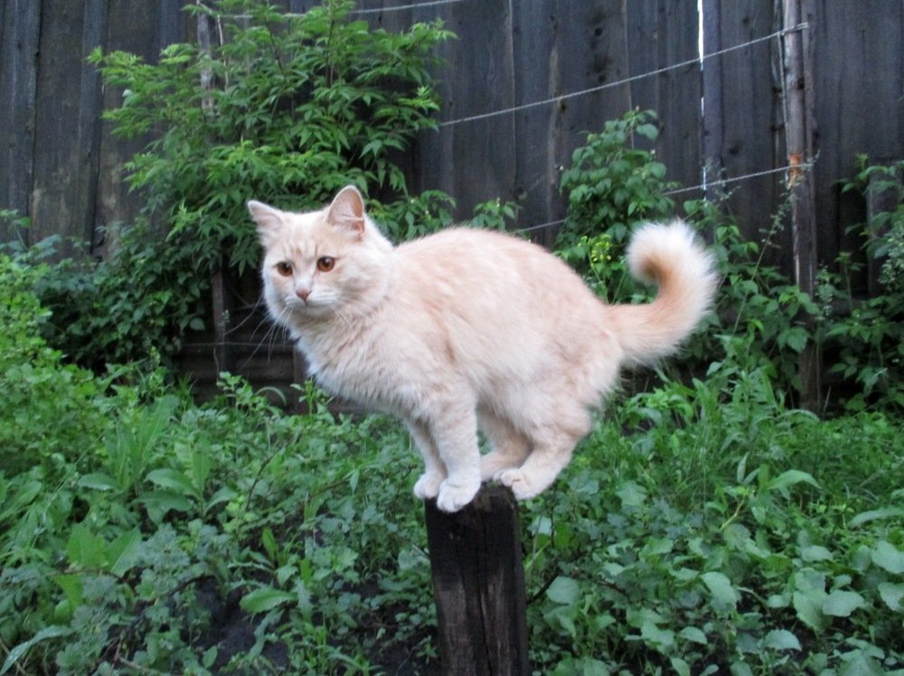 Photograph by Татьяна Иваненкова