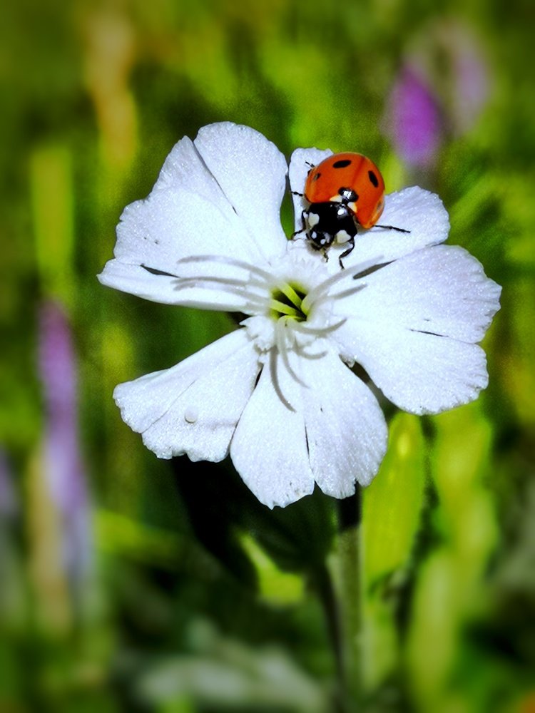 Photograph by Андрей Тур