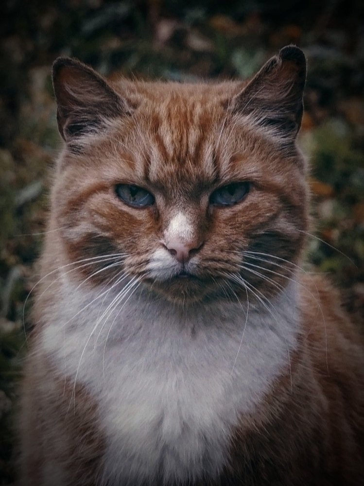 Photograph by Марина Хохрякова