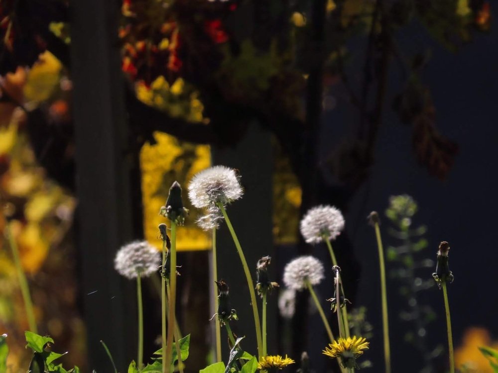 Photograph by Gabrijela Pavičić