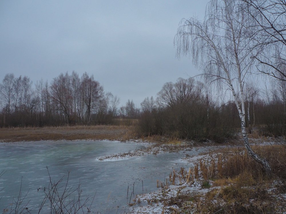 Photograph by Александр Устинов