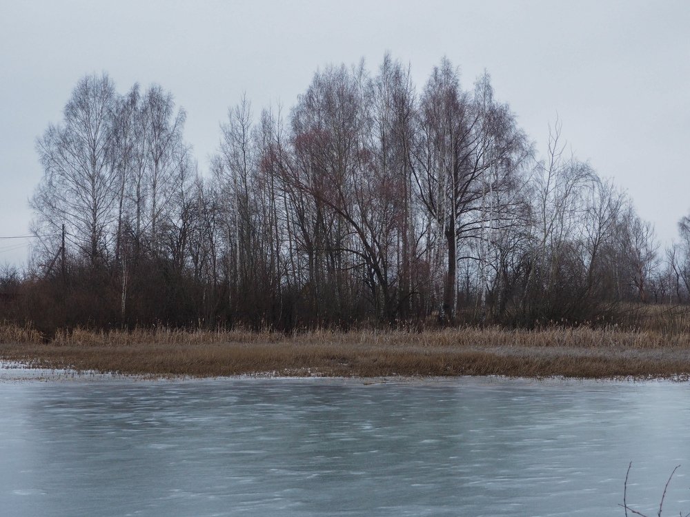 Photograph by Александр Устинов