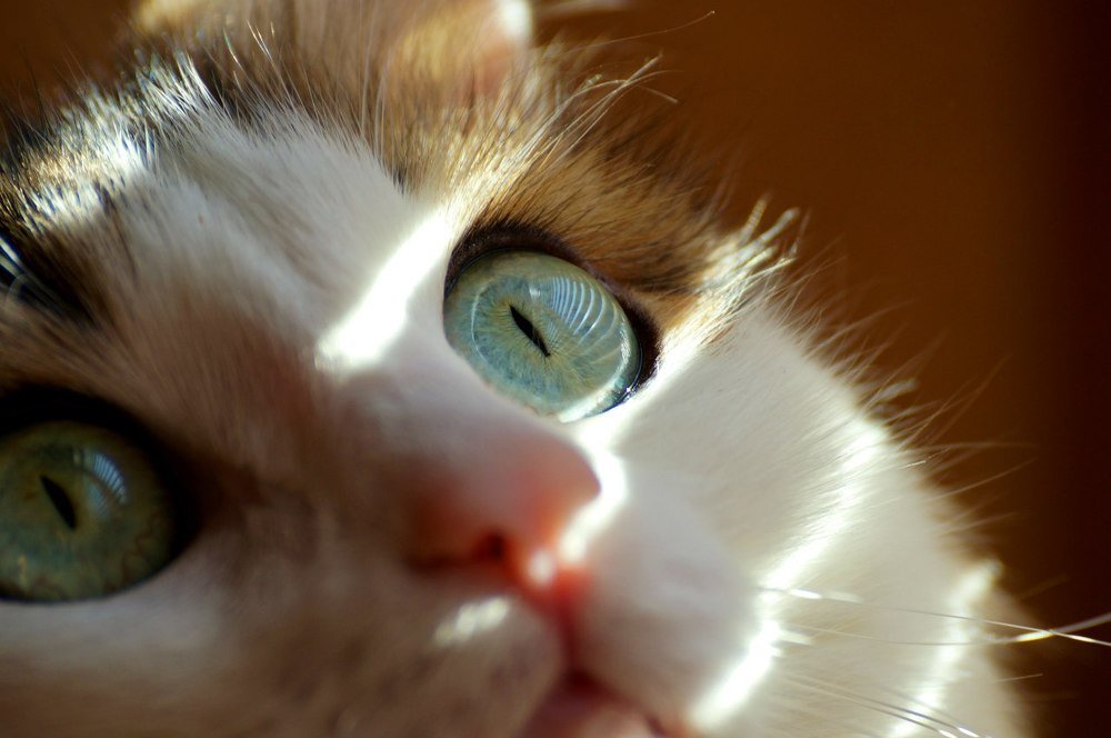 Photograph by Александр Попов