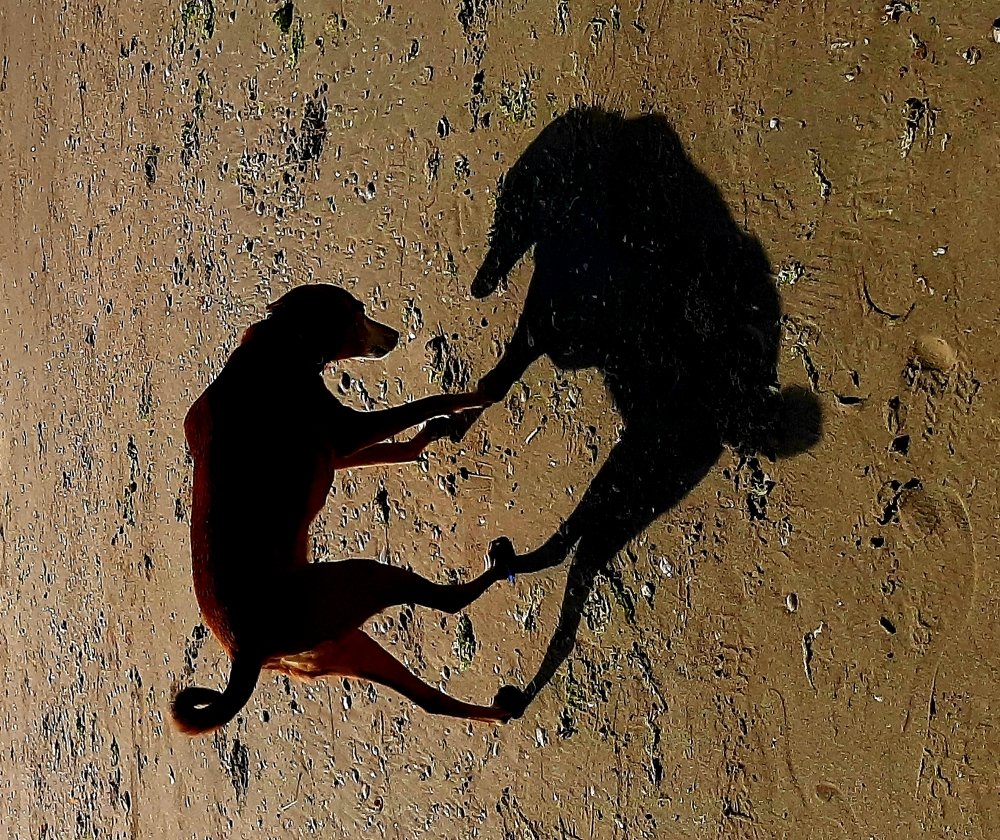 Photograph by virgilija motejunaite