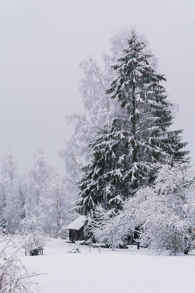 Photograph by Сергей