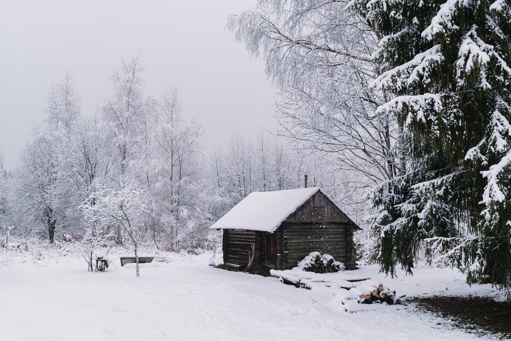 Photograph by Сергей