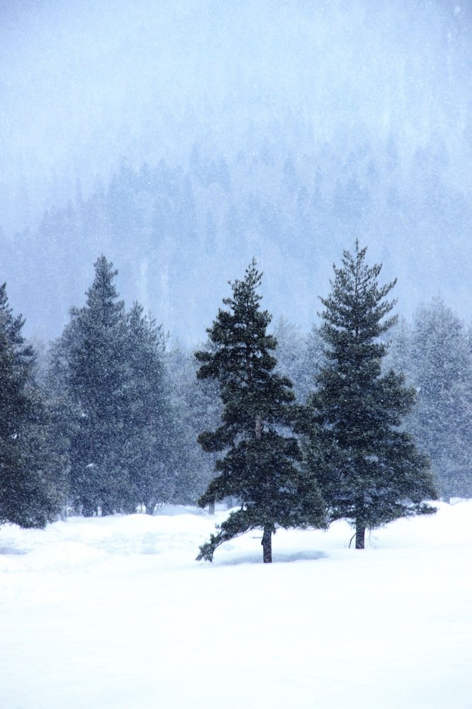 Photograph by Юлия Сушко