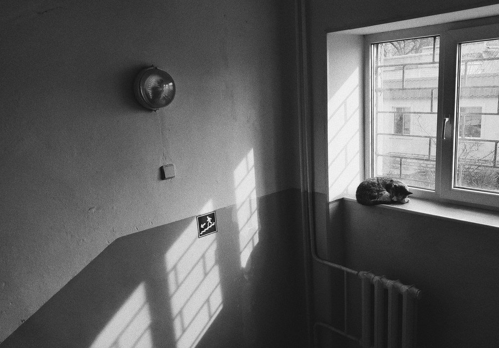 Photograph by андрей грищук