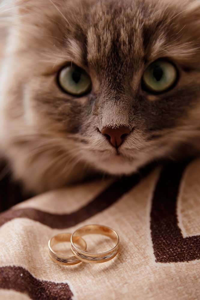 Photograph by Юлия Куркова